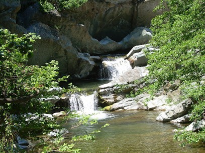 Dan'el Domicile Et Jardin, Jardinier à Tourouzelle