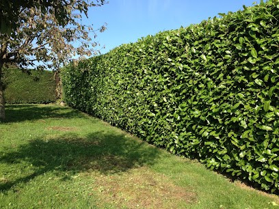 Verdun Multi Services, Jardinier à Saint-Thibaud-de-Couz