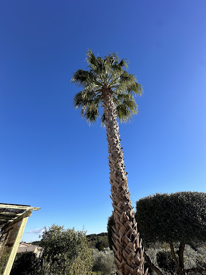 Authentik Jardin, Jardinier à Saint-Georges-d'Orques