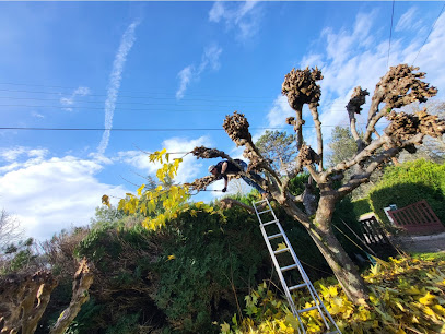 Chardon - Entretien Extérieur Jardinier à Soorts-Hossegor