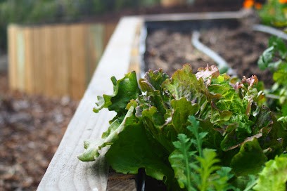 Les Potagers Du Maquis, Jardinier à Zonza