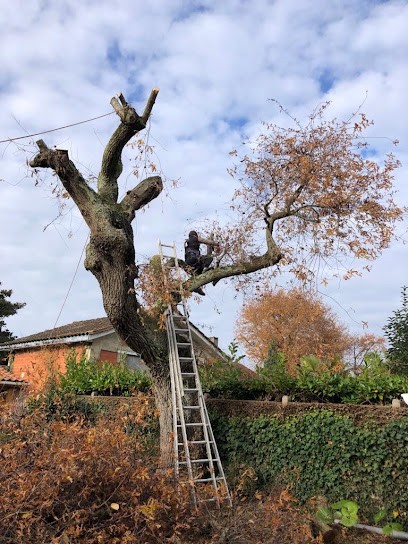 RH Espace Verts, Jardinier à Saint-Maixant