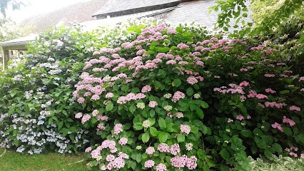 NEOFLORE Plault Olivier, Jardinier à Saint-Épain