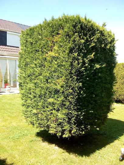 Jng Jardin, Jardinier au Petit-Quevilly