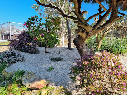 Delmas Jardin, Jardinier à Camps-sur-l'Isle