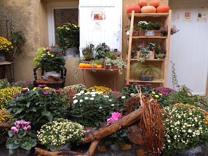 Douceur Sacrée, Jardinier à Villedieu