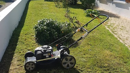 Dimitri Jardinier Élagueur, Jardinier aux Sorinières
