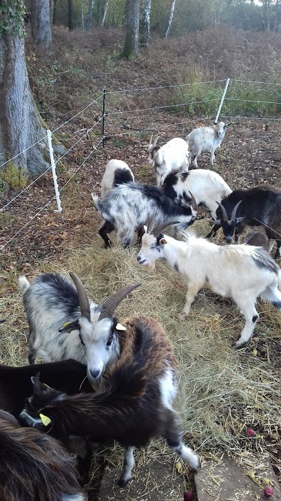 ECOPATURAGE LIGERIEN (49 SAUMUR), Jardinier à Saumur