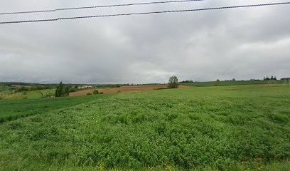 MOMBRUN Cédric, Jardinier à Mauvezin-sur-Gupie