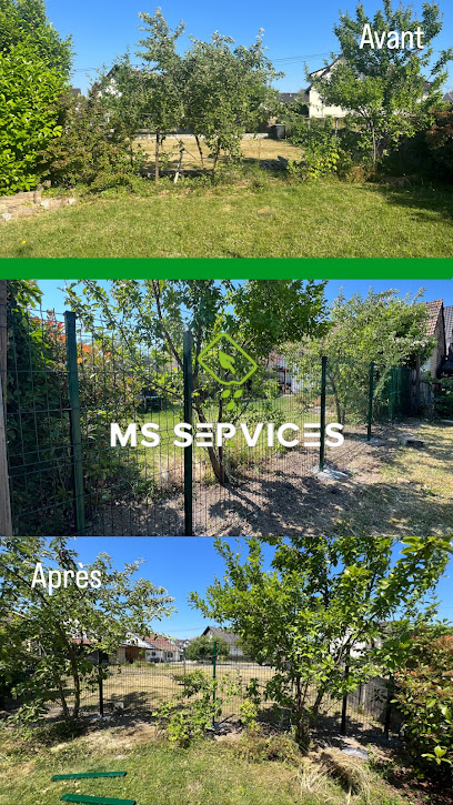 Ms Services Jardinier à Bischwiller